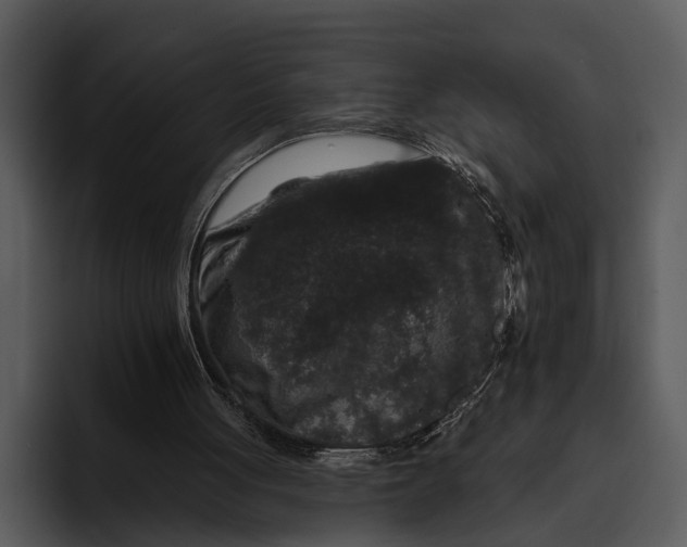 X0000095670051200801291145