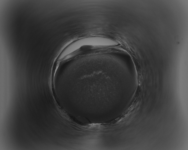 X0000095670052200801291145