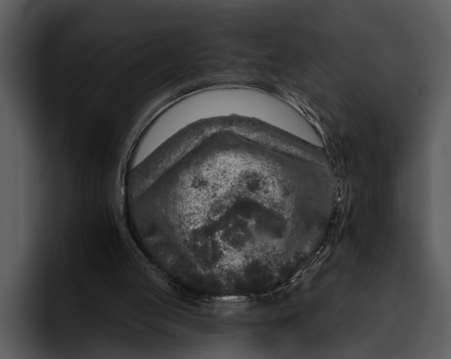 X0000095670053200801291145