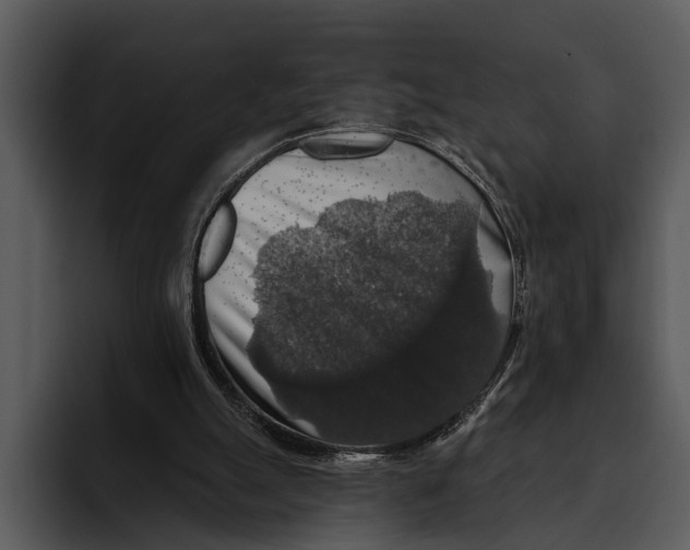 X0000095670055200801291145