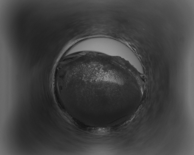 X0000095670056200801291145