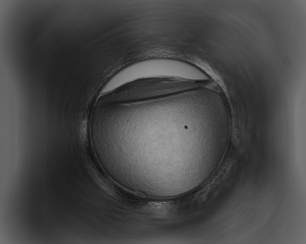 X0000095670057200801291145