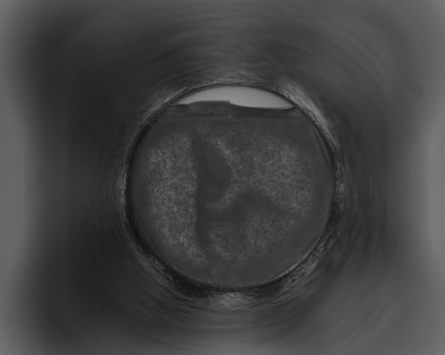 X0000095670058200801291145