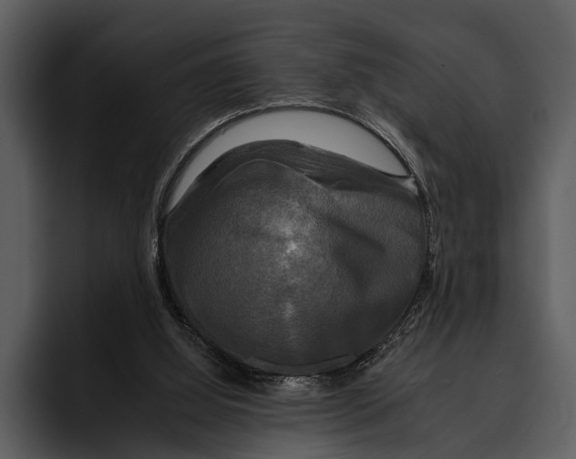 X0000095670060200801291145