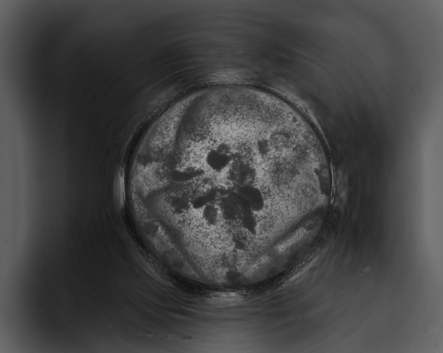 X0000095670061200801291145