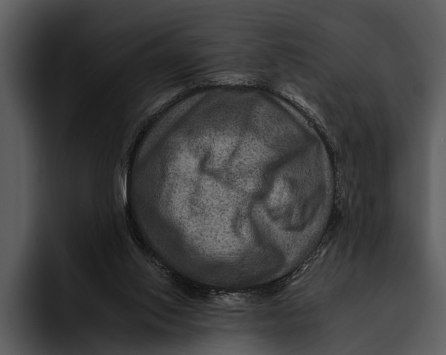 X0000095670062200801291145