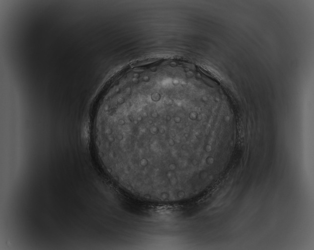 X0000095670064200801291145