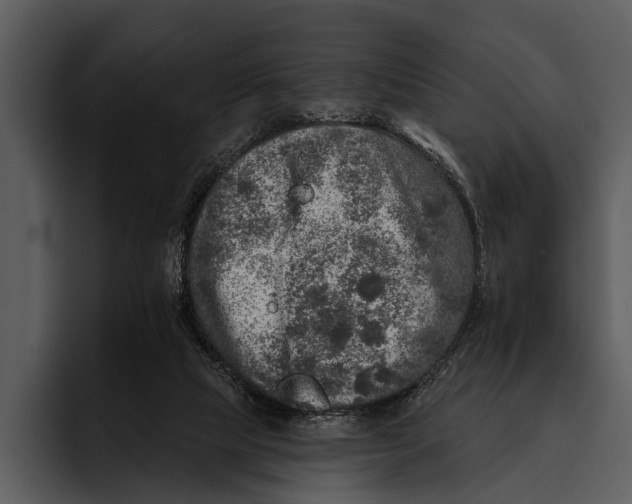 X0000095670065200801291145