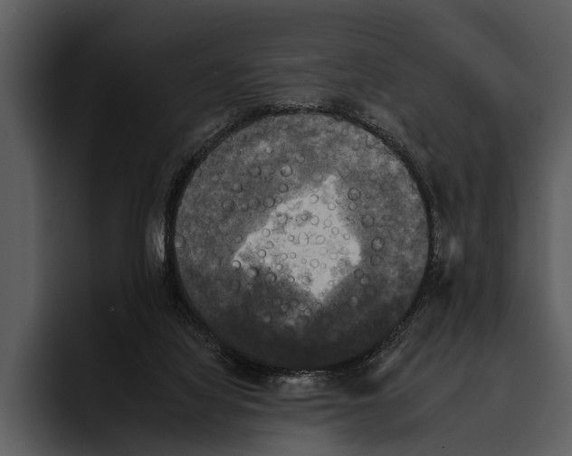 X0000095670068200801291145