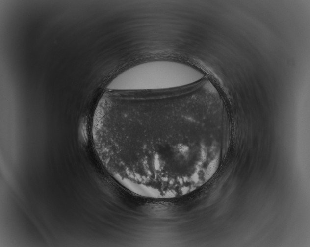 X0000095670069200801291145