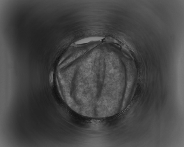 X0000095670070200801291145