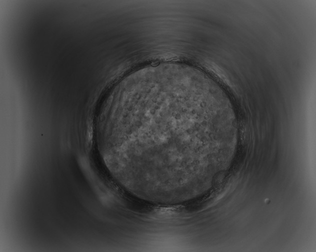 X0000095670072200801291145