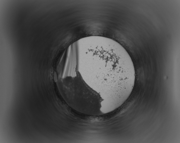 X0000095670073200801291145