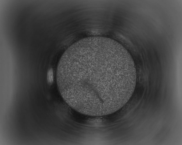 X0000095670075200801291145