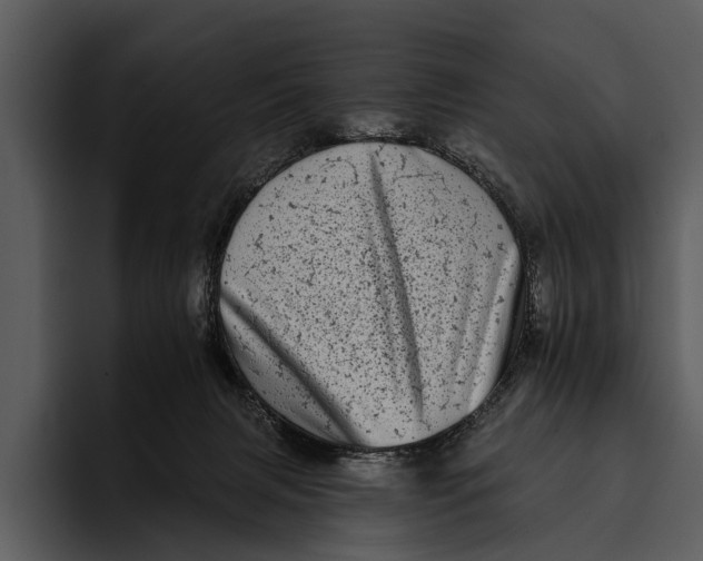 X0000095670079200801291145