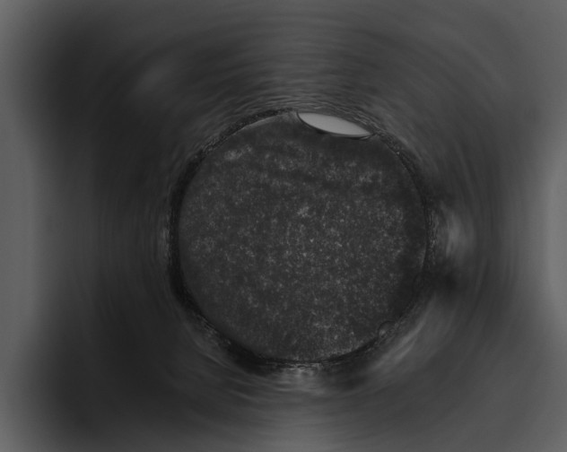 X0000095670080200801291145