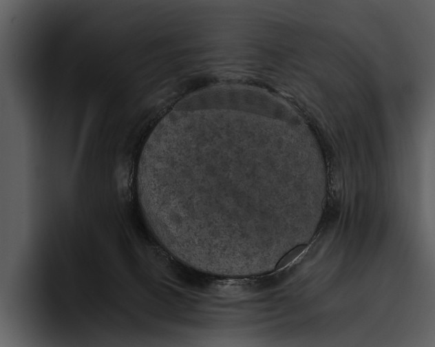 X0000095670082200801291145