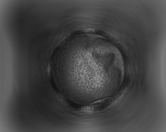 X0000095670084200801291145