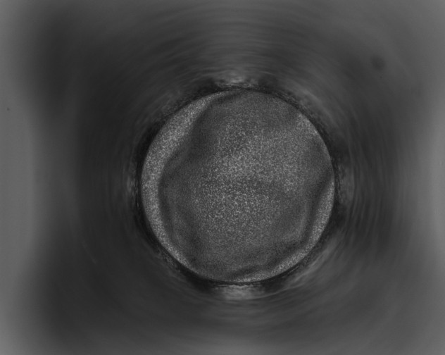 X0000095670085200801291145