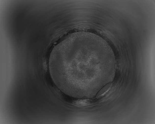 X0000095670086200801291145