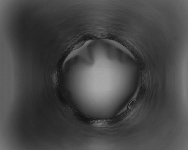 X0000095670088200801291145