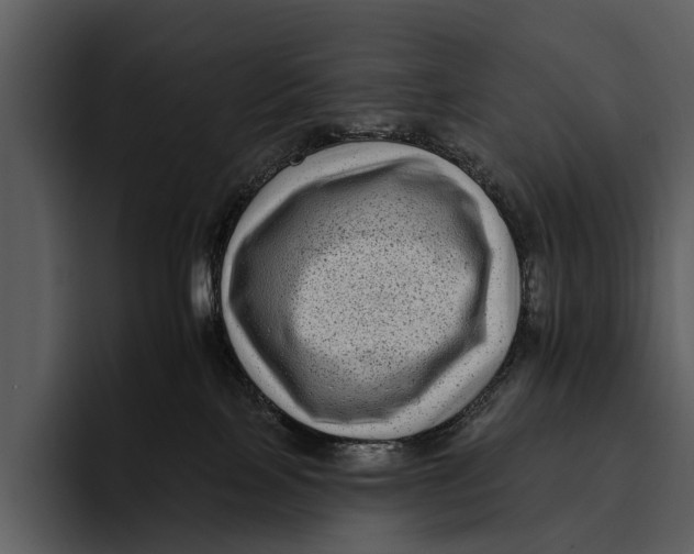 X0000095670089200801291145