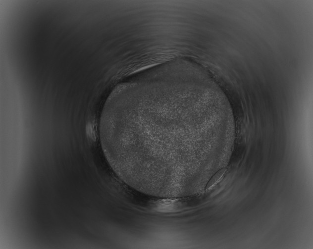 X0000095670090200801291145