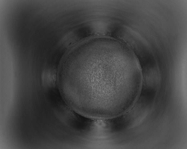 X0000095670091200801291145