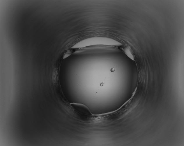 X0000095670092200801291145