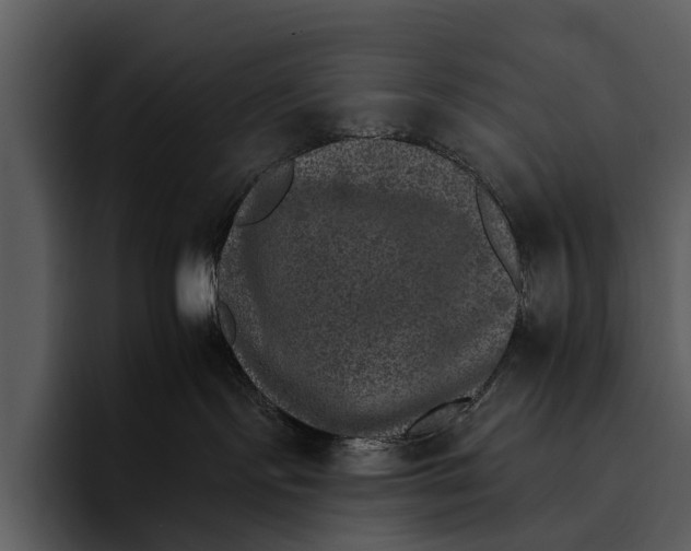 X0000095670095200801291145