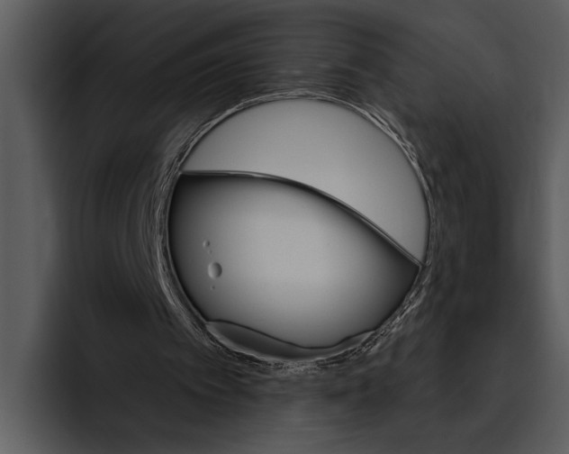 X0000095670097200801291145