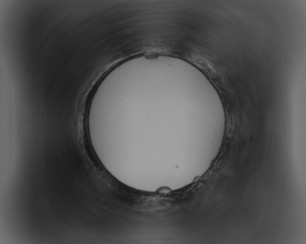 X0000095670098200801291145