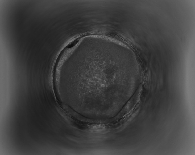 X0000095670100200801291145