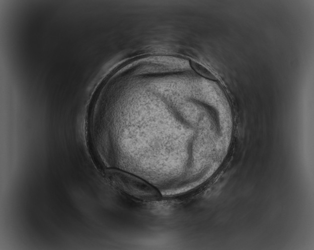 X0000095670103200801291145