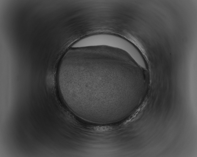 X0000095670105200801291145