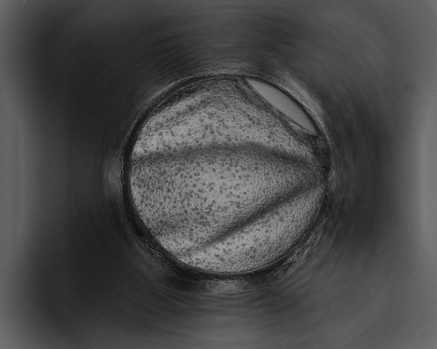 X0000095670107200801291145