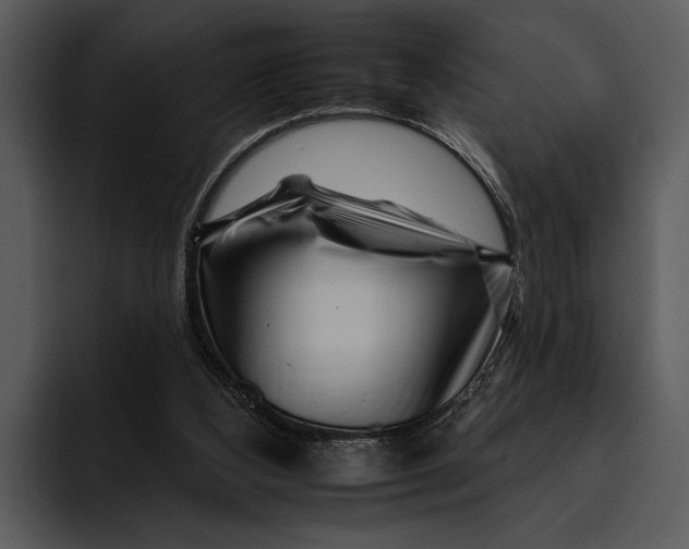 X0000095670108200801291145