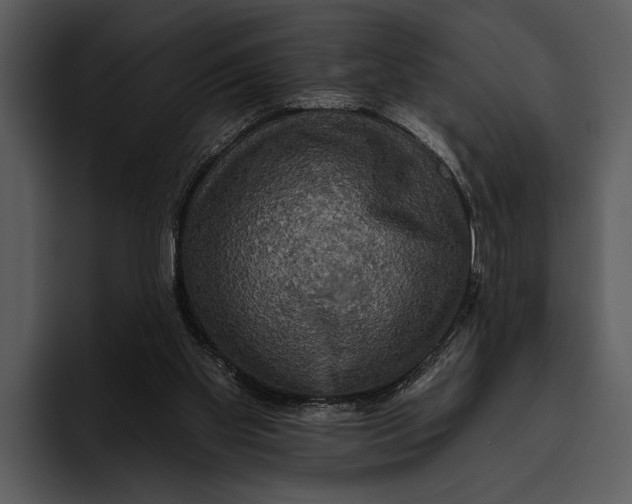 X0000095670109200801291145