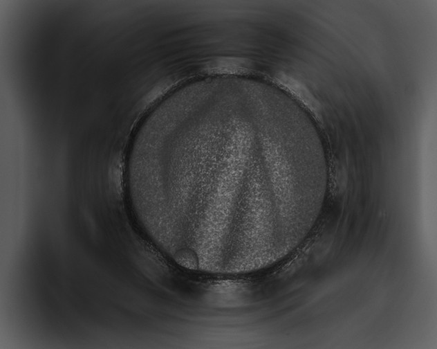 X0000095670111200801291145