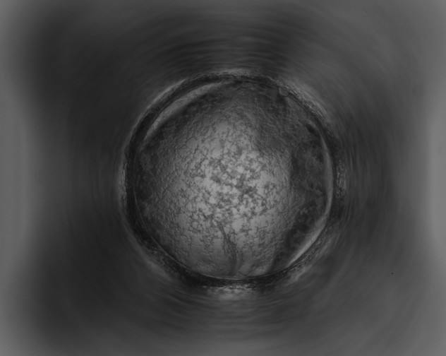 X0000095670112200801291145