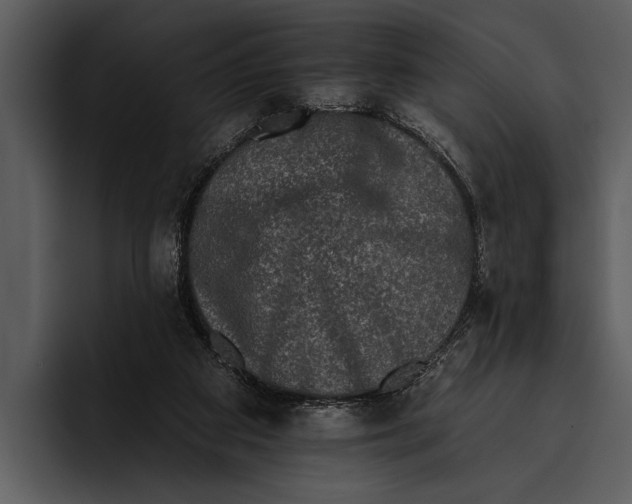 X0000095670113200801291145