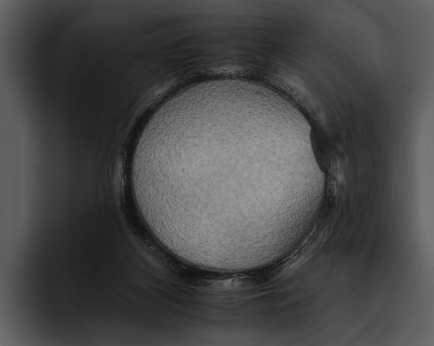 X0000095670116200801291145