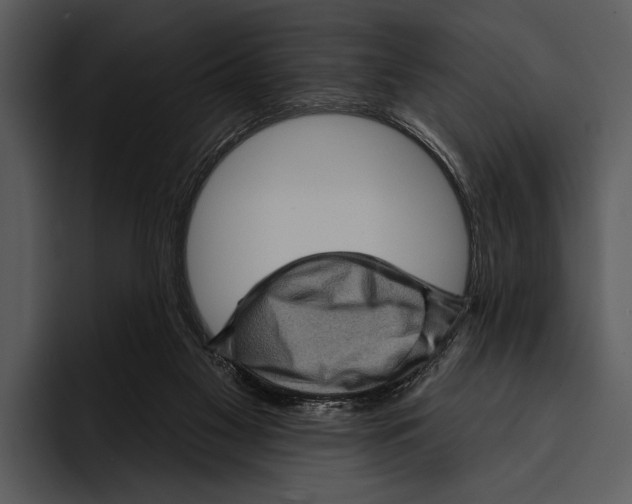 X0000095670117200801291145