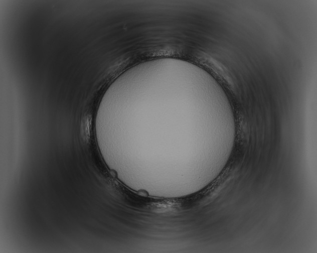 X0000095670118200801291145