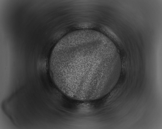 X0000095670119200801291145