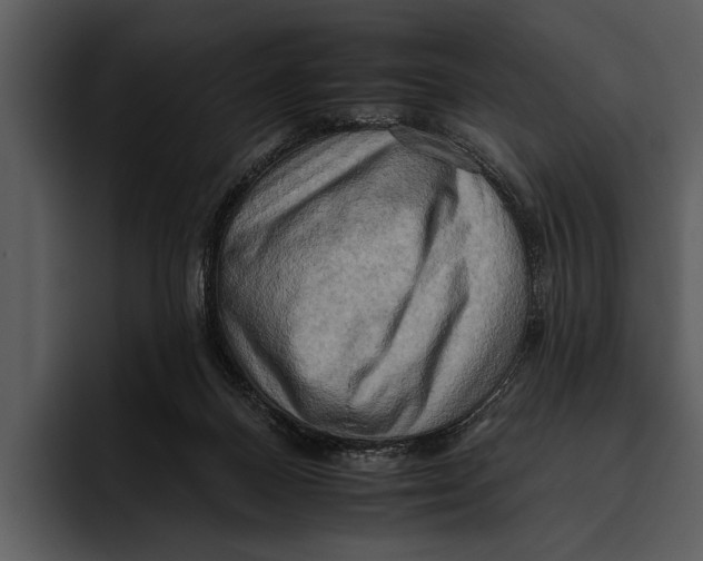 X0000095670120200801291144