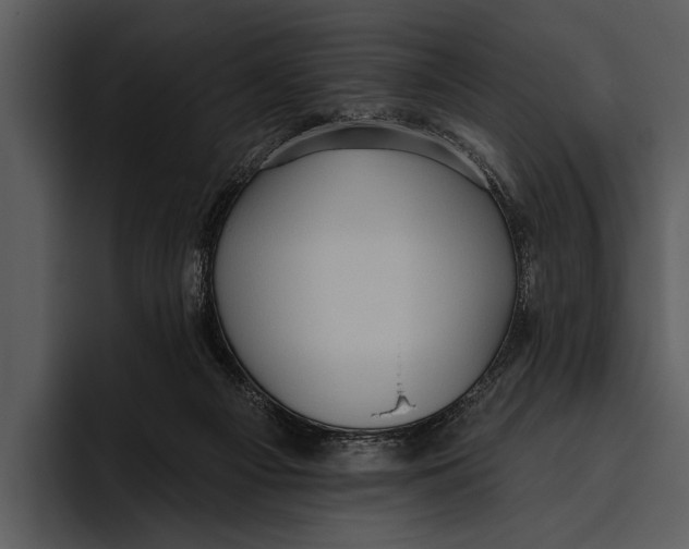 X0000095670121200801291144