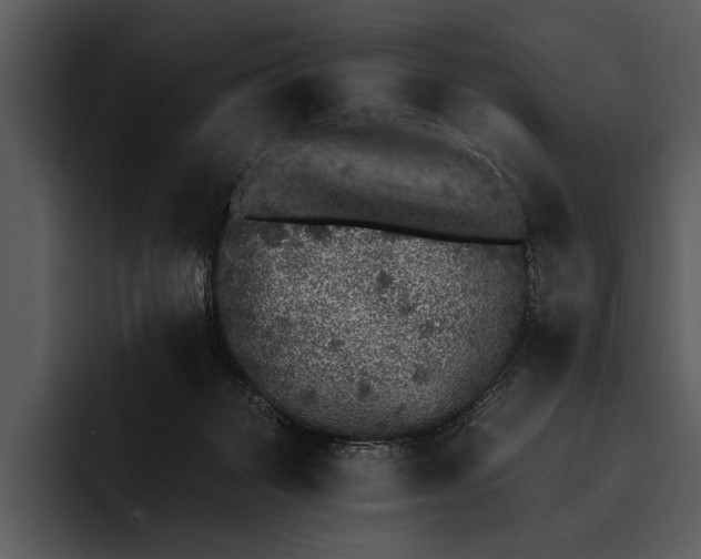 X0000095670123200801291144