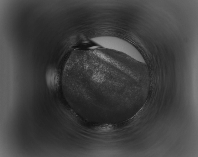 X0000095670124200801291144