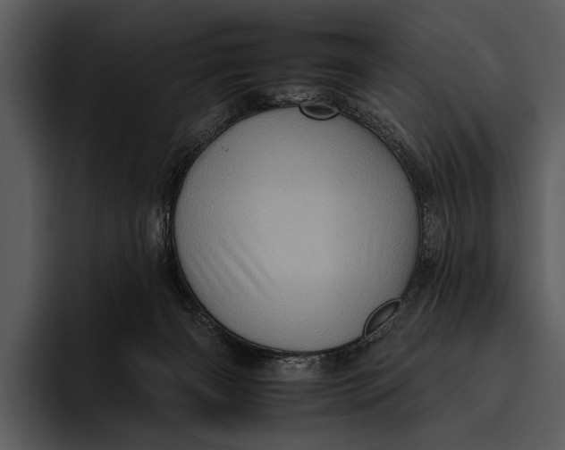 X0000095670126200801291144